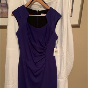 NWT Calvin Klein sheath